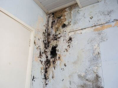 About water damage cleanup - ceiling water damage repair experts in Hempstead